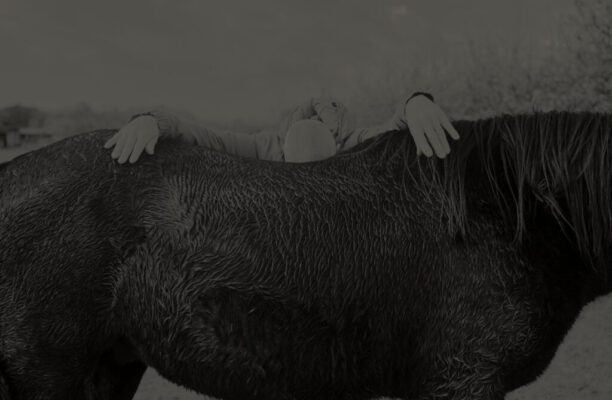 Sur la brume qui manque à nos jours