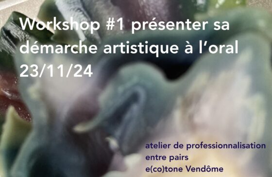 atelier de professionnalisation entre pairs 231124 à Vendôme