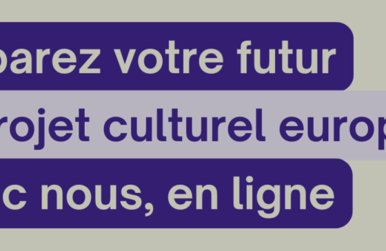 Bannière réalisé par le relais Culture Europe pour assurer la promotion de leurs sessions d'information.
