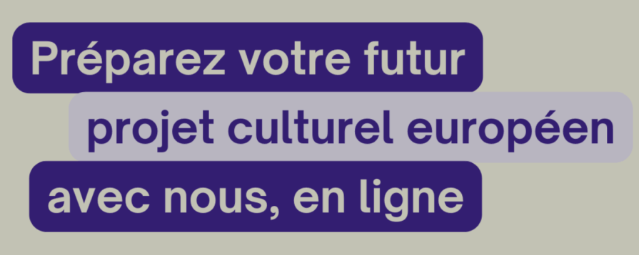 Bannière réalisé par le relais Culture Europe pour assurer la promotion de leurs sessions d'information.