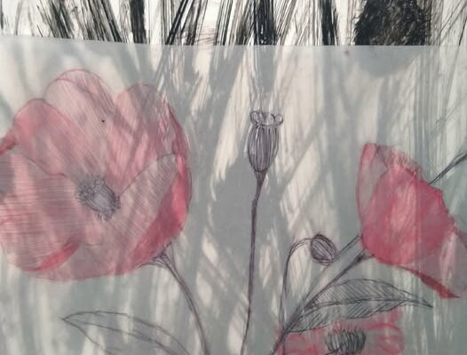Mise au point · Exposition des ateliers adultes